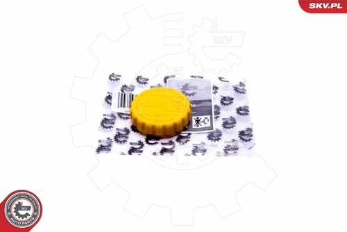 Cap coolant tank esen - tank,